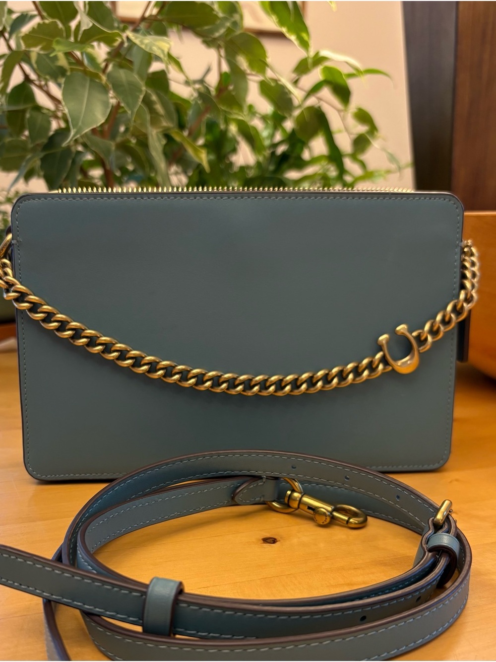 Coach Signature Chain Crossbody Bag Brass Marine 78801